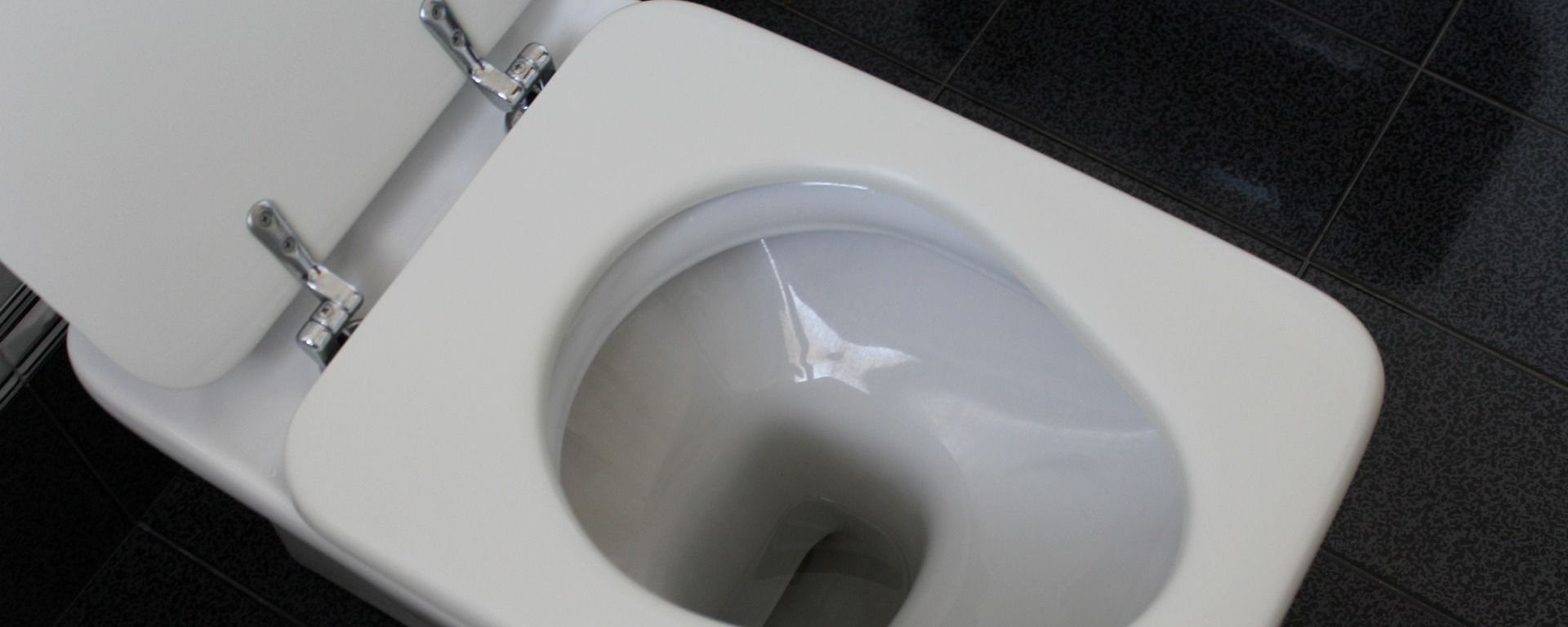 Toilet - Sputnik International, 1920, 12.06.2021