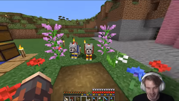 Pewdiepie's dog's marriage - Sputnik International