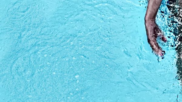 In the swimming pool - Sputnik International
