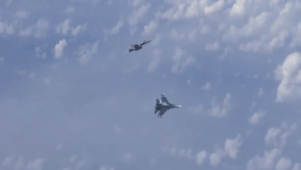 Russian Su-27 chasing NATO F-18 away from Defence Minister Sergei Shoigu's plane. Russian Su-27 chasing NATO F-18 away from Defence Minister Sergei Shoigu's plane. - Sputnik International
