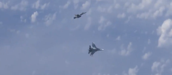 Russian Su-27 chasing NATO F-18 away from Defence Minister Sergei Shoigu's plane. - Sputnik International