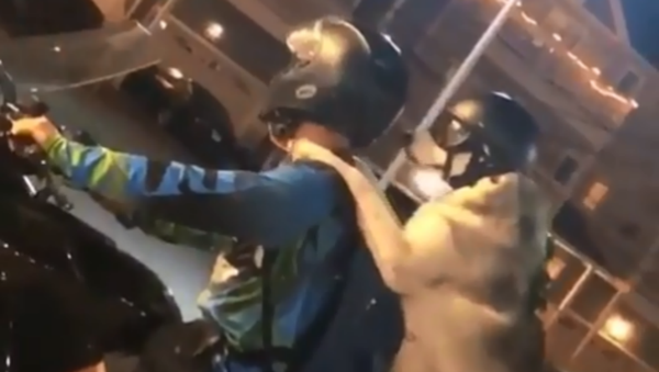Husky Takes Ride on Motorcycle - Sputnik International