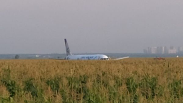 Ural Airlines flight U6178 from Moscow to Simferopol made an emergency landing in corn field - Sputnik International
