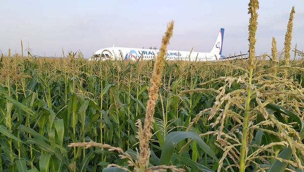 Russia A321 Plane Accident - Sputnik International