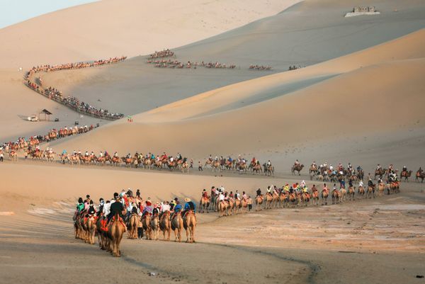 This Week in Pictures: 10 - 16 August This Week in Pictures: 10 - 16 August - Sputnik International