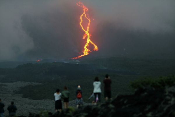 This Week in Pictures: 10 - 16 August This Week in Pictures: 10 - 16 August - Sputnik International