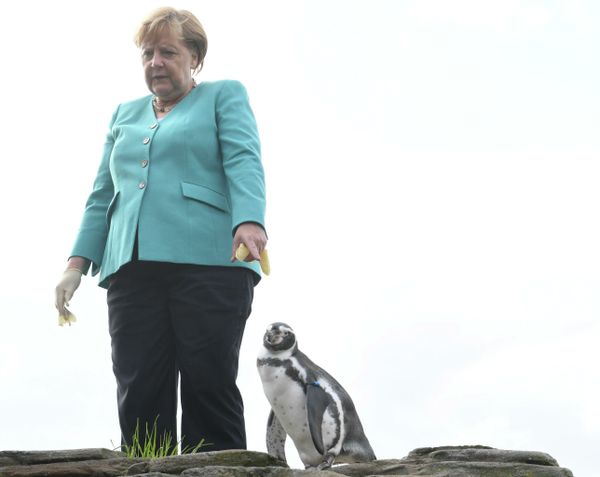 This Week in Pictures: 10 - 16 August This Week in Pictures: 10 - 16 August - Sputnik International
