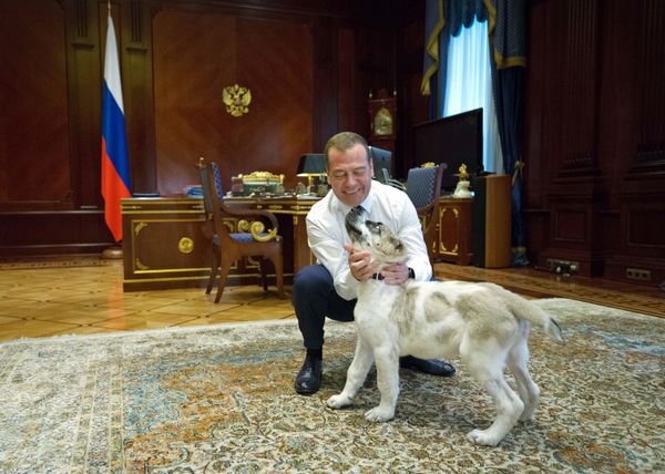 This Week in Pictures: 10 - 16 August This Week in Pictures: 10 - 16 August - Sputnik International