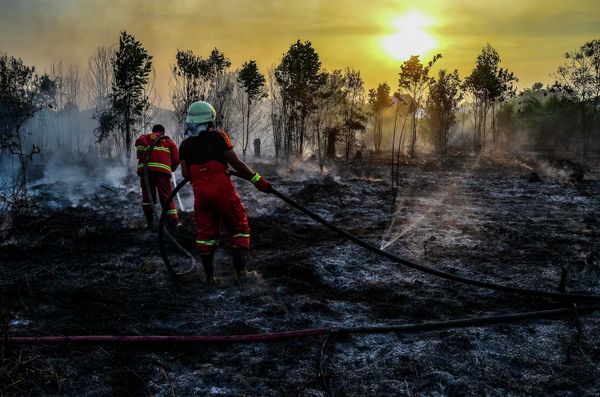 This Week in Pictures: 10 - 16 August This Week in Pictures: 10 - 16 August - Sputnik International