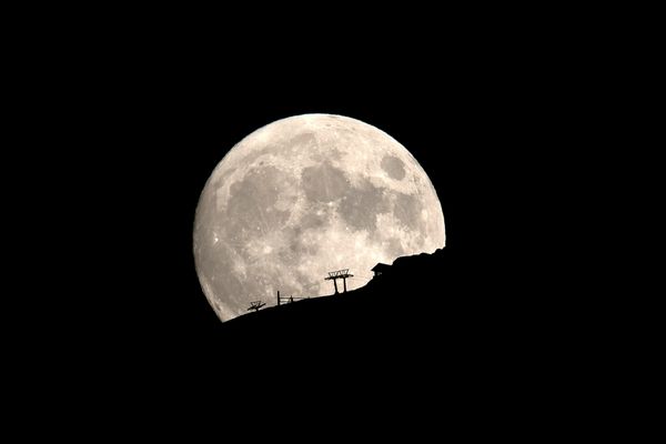 This Week in Pictures: 10 - 16 August This Week in Pictures: 10 - 16 August - Sputnik International