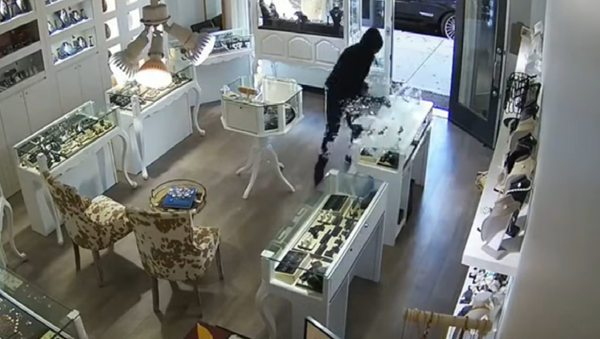 Owner of US Jewelry Store Fights Off Thieves Owner of US Jewelry Store Fights Off Thieves - Sputnik International