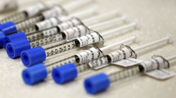 This file photo shows syringes of the opioid painkiller fentanyl in an inpatient pharmacy. - Sputnik International