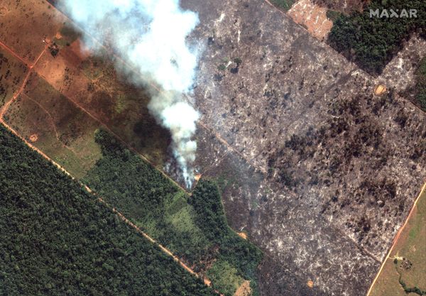 Amazon Countries Sign ‘Leticia Pact’ on Joint Policies to Protect Rainforest Amid Fires - Sputnik International
