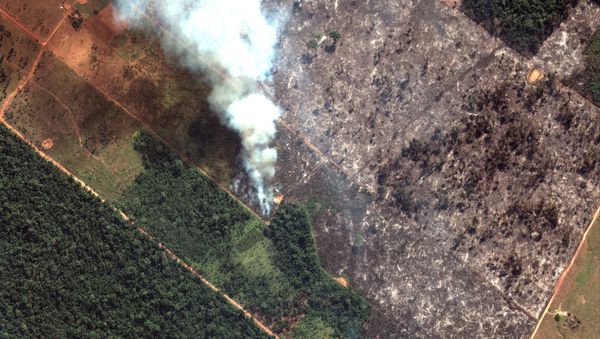 A satellite image shows smoke rising from Amazon rainforest fires in the State of Rondonia, just southwest of Porto Velho, Brazil in the upper Amazon River basin on August 15, 2019 - Sputnik International
