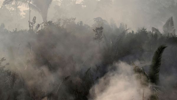Smoke billows during a fire in an area of the Amazon rainforest near Humaita, Amazonas State, Brazil, Brazil August 14, 2019. - Sputnik International