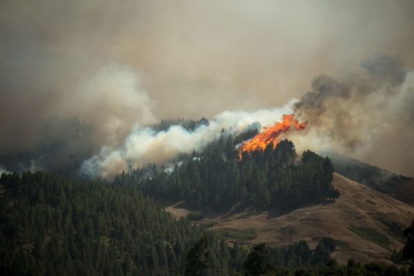 Flames rise from a forest fire raging in Montana Alta on the island of Gran Canaria on August 18, 2019. - Authorities on the Spanish island of Gran Canaria evacuated residents as a forest fire broke out just days after another blaze raged in the same area.  - Sputnik International