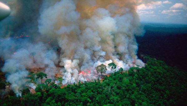 The photo of thick plumes of smoke billowing from fires the Amazon forest, shared by French President Emmanuel Macron, apepars to have been taken by a photographer who died in 2003, which means that the photo is 16 years old at the very least. - Sputnik International