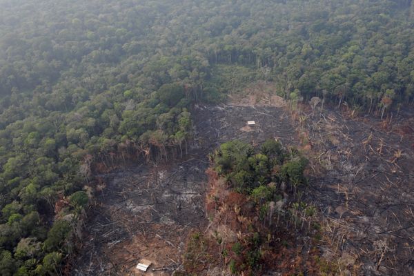 Brazil is Not Working With US on Amazon Wildfires - Defence Minister Brazil is Not Working With US on Amazon Wildfires - Defence Minister - Sputnik International