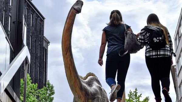 A life-size replica of a Diplodocus dinosaur watches people coming out of the subway in the city center of Bochum, Germany - Sputnik International