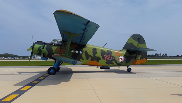 A Korean People's Army Air Force Antonov An-2 at the Wonsan Air Festival in DPRK in 2016 - Sputnik International
