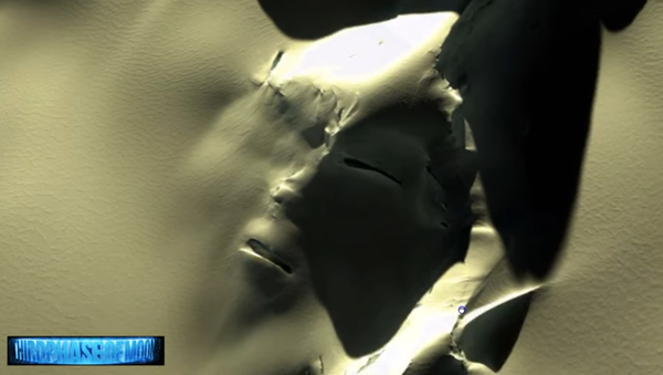 Conspiracy theorists claim to have found an alien face structure in Antarctica - Sputnik International