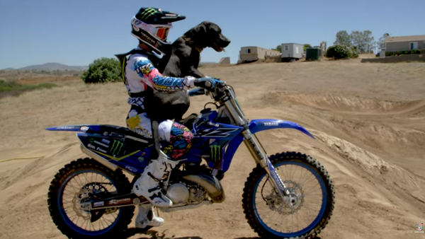 Motorcycle-Loving Dog Goes for Dirt Bike Joy Ride - Sputnik International