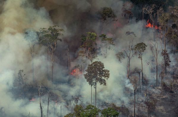 Forest fires in Brazil - Sputnik International
