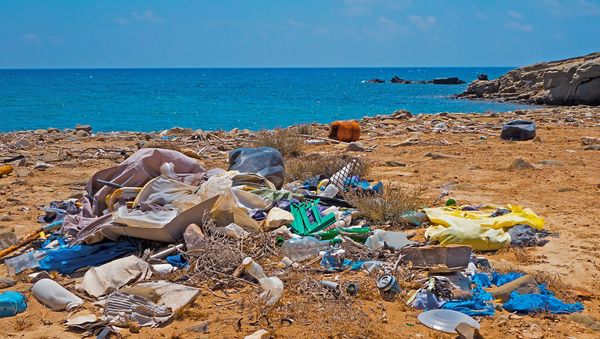 Garbage on beach - Sputnik International