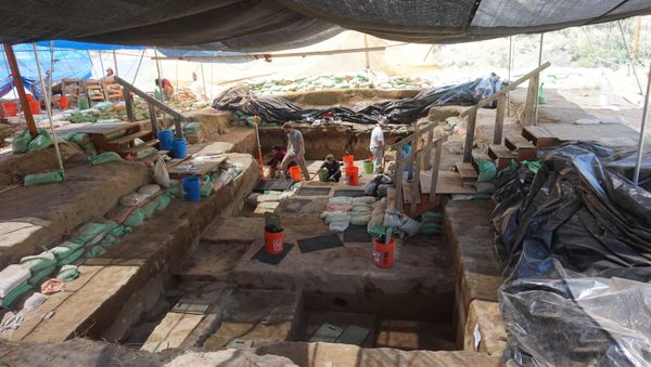 Handout photo of excavation work by scientists at the Cooper's Ferry archaeological site located along the Salmon River in western Idaho - Sputnik International