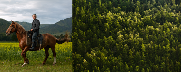 Deer farming flourishes in the Uimon Valley. Old Believers were the first deer hunters in this area. Deer farming flourishes in the Uimon Valley. Old Believers were the first deer hunters in this area. - Sputnik International