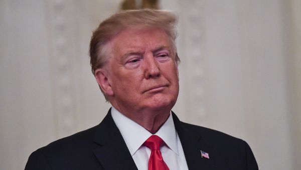 US President Donald Trump - Sputnik International