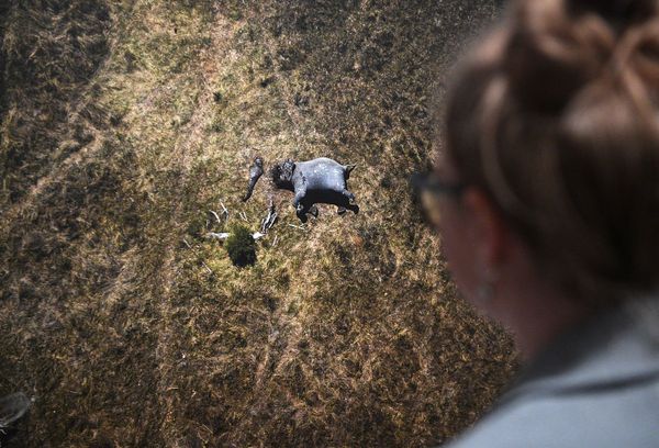 Photojournalist From Italy Wins 2019 Andrei Stenin Contest Grand Prix Photojournalist From Italy Wins 2019 Andrei Stenin Contest Grand Prix - Sputnik International