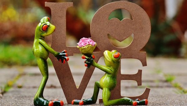 Wedding of frogs - Sputnik International