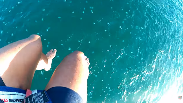 Parasailing Tourists Get Jellyfish Surprise During Descent - Sputnik International