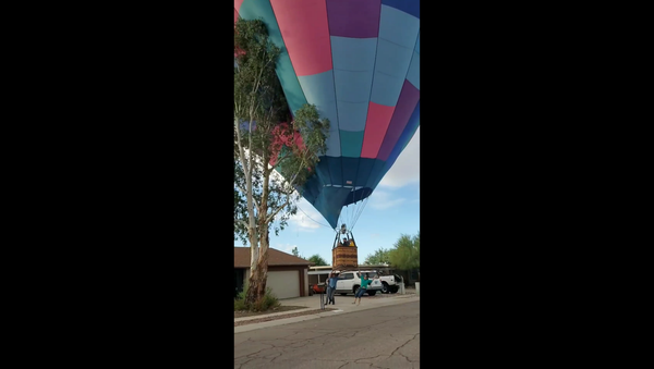 Hot Air Balloon Crashes Into Arizona Tree - Sputnik International
