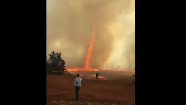 Fire tornados are one of the rarest natural phenomena in the world; dubbed 'fire devils' they only form under very specific atmospheric conditions.  - Sputnik International