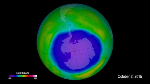This image provided by NOAA shows the ozone hole - Sputnik International