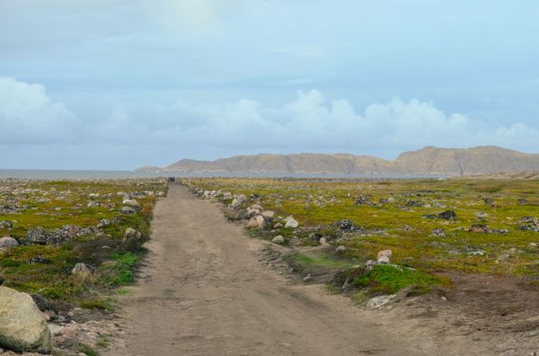 A view of tundra near Teriberka village in Murmansk region - Sputnik International