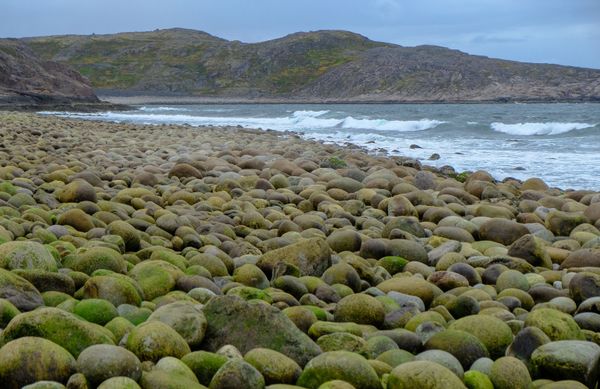 The Barents Sea coast near Lodeinoye village in Murmansk region - Sputnik International