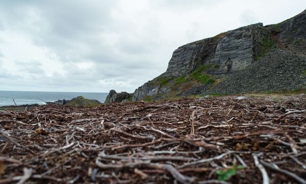 Rocks at Cape Kekursky on the Rybachy Peninsula in Murmansk region - Sputnik International