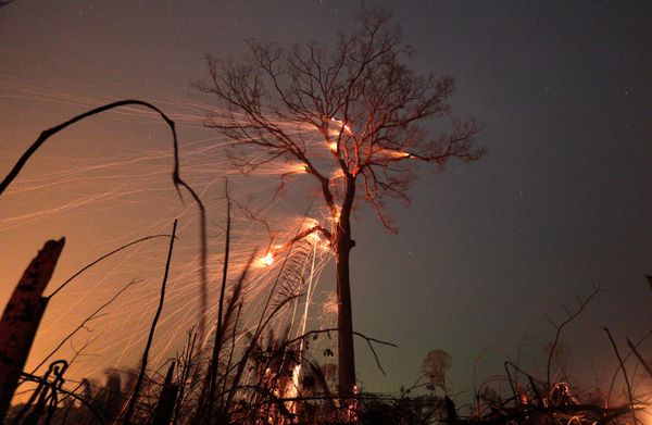 This Week in Pictures: 14 - 20 September This Week in Pictures: 14 - 20 September - Sputnik International