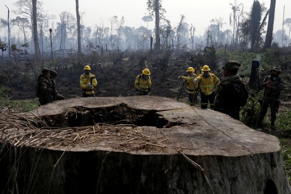 'Occupy Amazon': Brazilian Military Reportedly Eyes Setting Up Bases in Country's Northern Forests 'Occupy Amazon': Brazilian Military Reportedly Eyes Setting Up Bases in Country's Northern Forests - Sputnik International