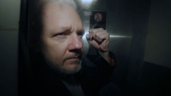 WikiLeaks founder Julian Assange being taken from court, where he appeared on charges of jumping British bail seven years ago - Sputnik International
