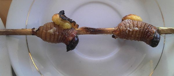 Grilled maggots for human consumption Grilled maggots for human consumption - Sputnik International