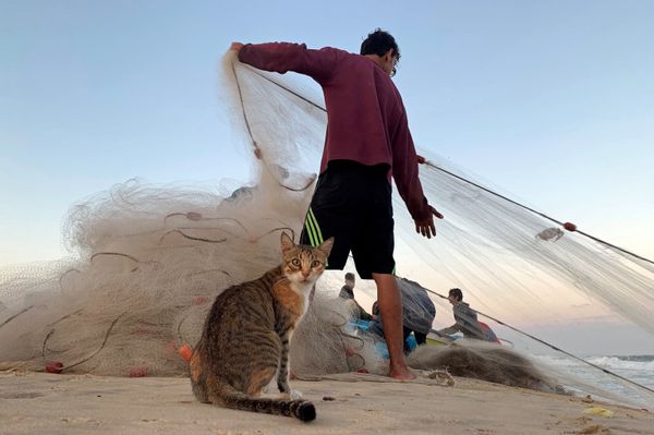 This Week in Pictures: 21 - 27 September - Sputnik International
