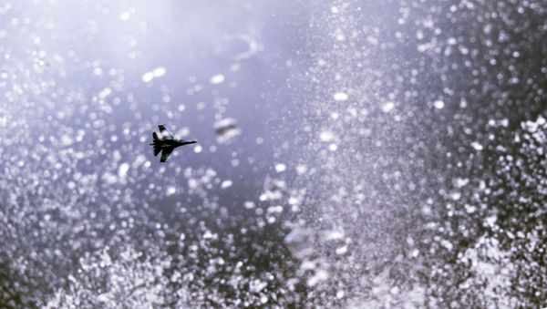 Su-35 jet during Gunsmith's Day celebrations in Izhevsk. - Sputnik International