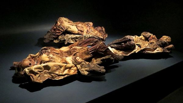 The mummified remains of four tattooed Qilakitsoq women and a six month old boy dating from 1475 AD are at the Greenland National Museum in Nuuk - Sputnik International
