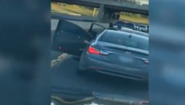 Violent Road Rage Brawl Prompts Investigation by Illinois State Police - Sputnik International