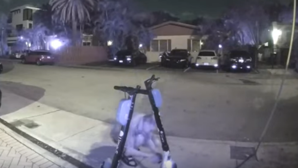 US Man Arrested For Cutting Brake Lines on Electric Scooters - Sputnik International