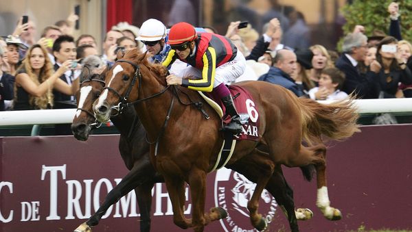 The Prix De L’arc Triomphe - Sputnik International